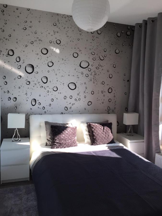 Stary Toruń Apartament Winnica מראה חיצוני תמונה