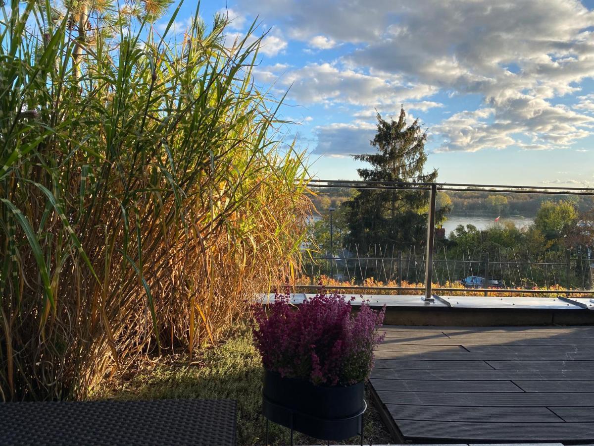 Stary Toruń Apartament Winnica מראה חיצוני תמונה